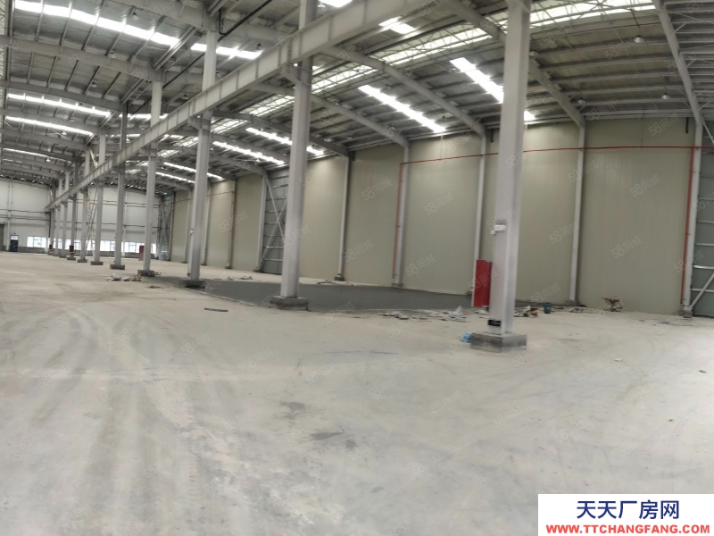 臺州市椒江(出租) 出租集聚區全新標準物流倉庫有高臺大車進出方便