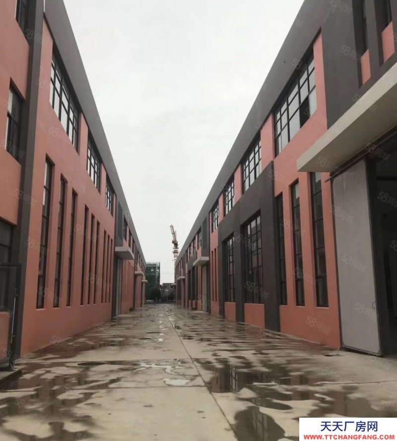 (出租) 常州鐘樓獨(dú)棟?rùn)C(jī)械行車廠房1000 2500 3300平米出租適合生物醫(yī)藥