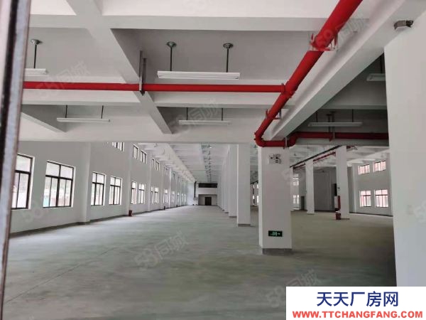 福州市連江調味品廠房 連江吉百年工業園二期標準鋼混結構廠房二層1458火熱招商中