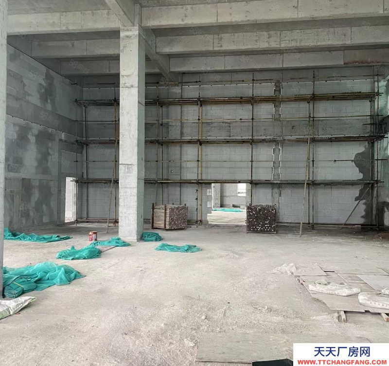 臺州市椒江(出售) （甲方直銷）濱海新區(qū)高標辦公廠房出售，工業(yè)配套完善！  乳制品