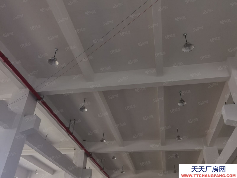 臺州市黃巖(出租) 出租，黃巖區十里鋪樓上2000平 蜂產品