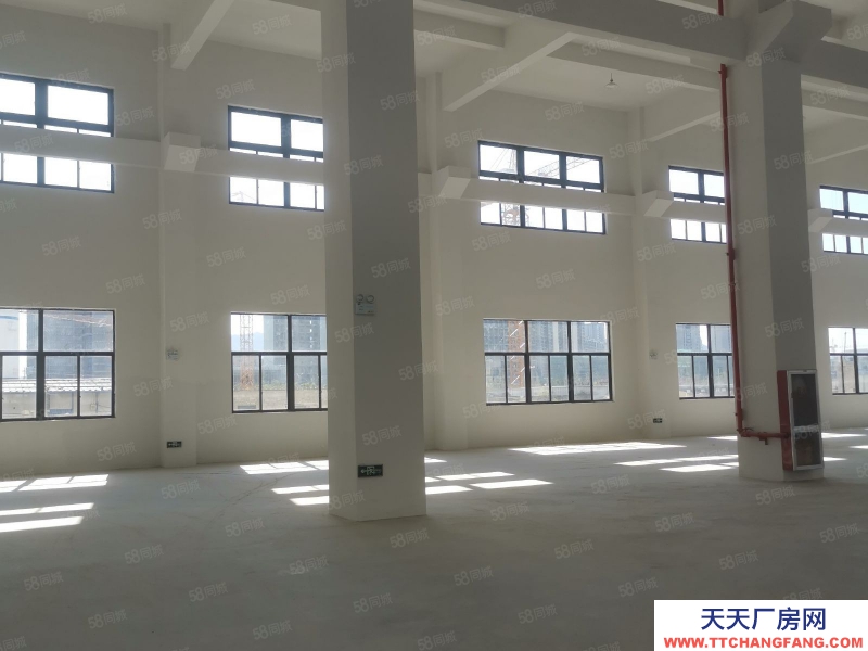 臺州市黃巖(出租) 出租北城工業(yè)區(qū)倉獨門獨戶1300平方12元大車可進