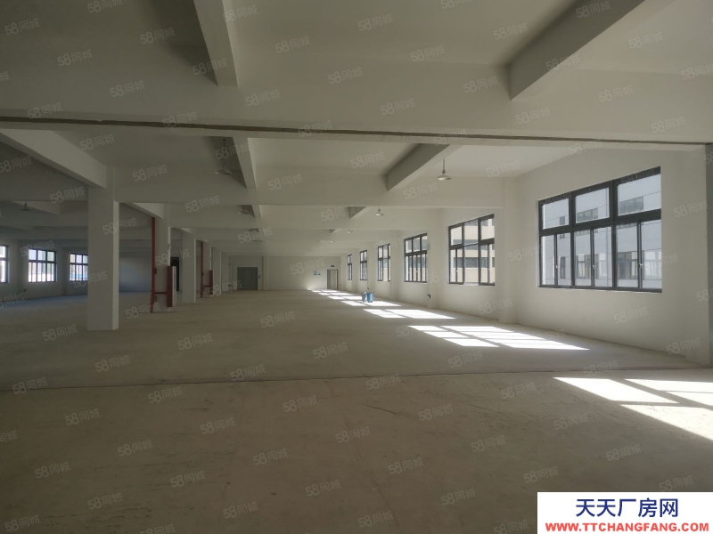 臺州市黃巖(出租) 出租江口工業區獨門獨戶2200平方13元平集裝箱可進