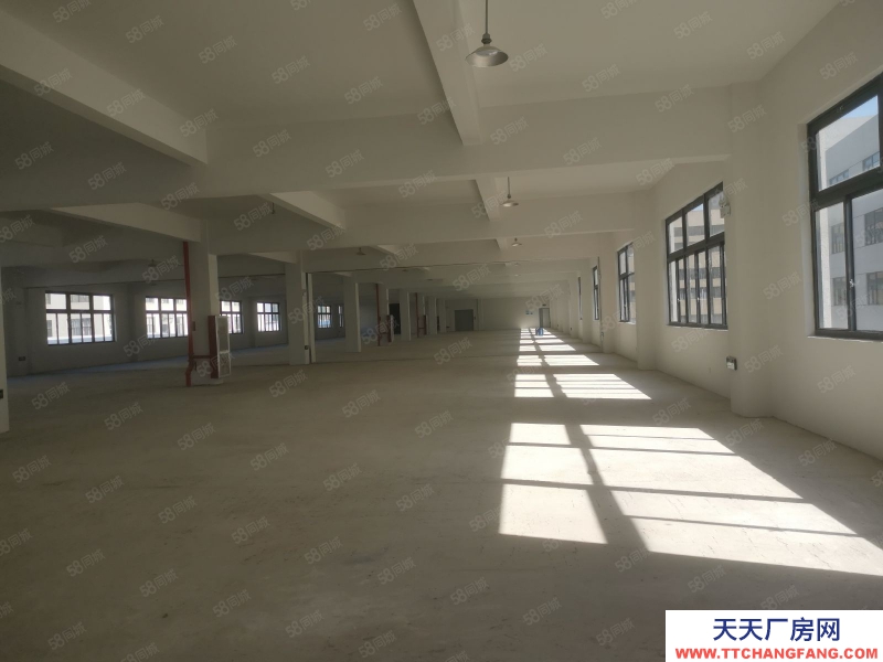 臺(tái)州市黃巖(出租) 出租新前工業(yè)區(qū)倉庫獨(dú)門獨(dú)戶2500平12元大車可進(jìn)