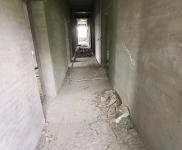 (出售) 漯河舞陽三層,可做辦公樓,后院有十多畝空地,可組合建廠