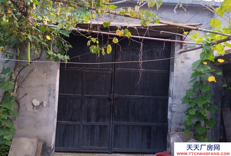 衡水 桃城(出租) 水電齊全交通便利，道路邊方便