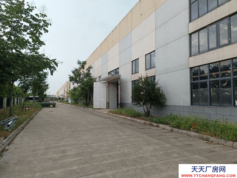 (出租) 常州金壇薛埠15000平方單層廠房2500起租適合五金機電