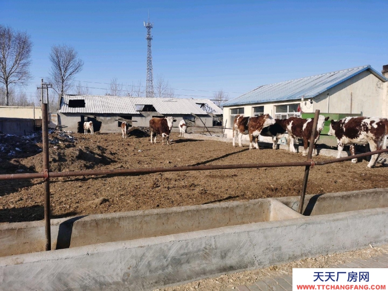 (出售) 雙泡子北腰伯吐養(yǎng)牛小區(qū) 廠房 5400平米