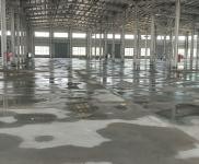 (出租) 出租漯河臨潁城區全新廠房,價格面議