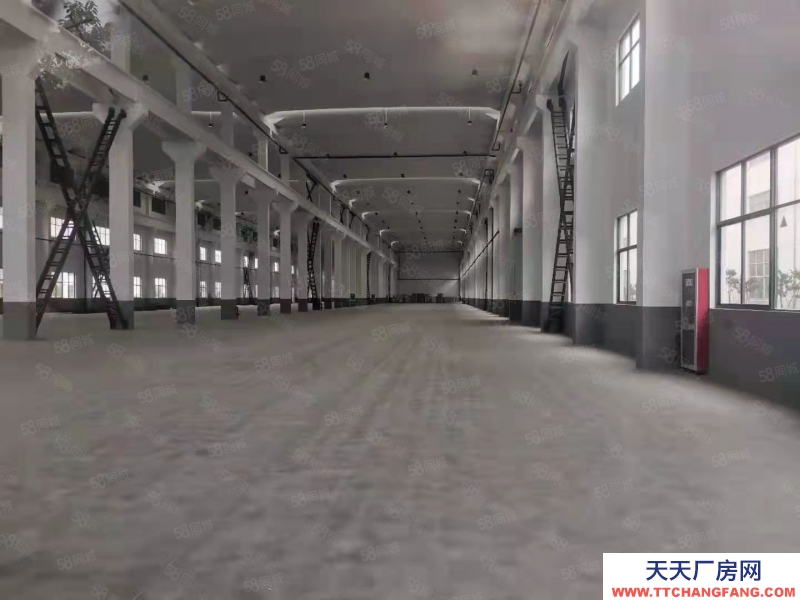 (出租) 常州金壇儒林8000平方行車廠房適合機械加工