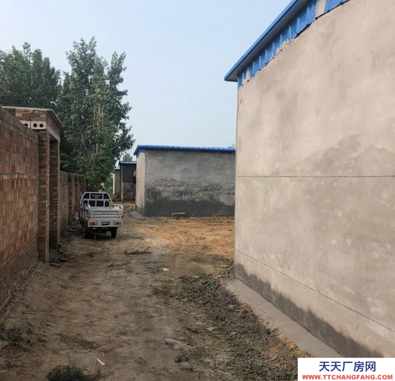 衡水 棗強(出租) 一套院300平米，共四套院，北房水泥里外包括地面抹灰，