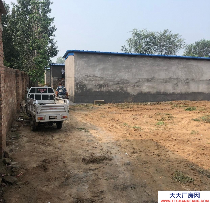 衡水 棗強(出租) 一套院300平米，共四套院，北房水泥里外包括地面抹灰，