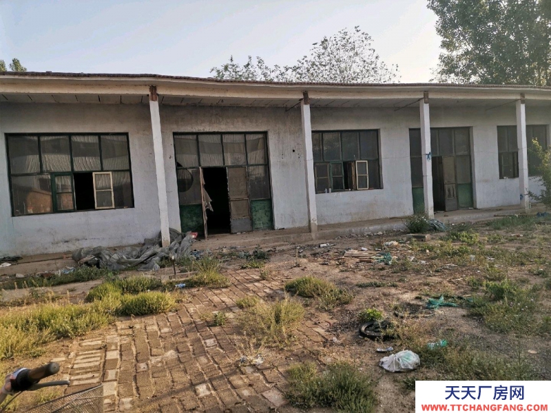 衡水 棗強(出租) 城區朝輝街閑院出租方便出入