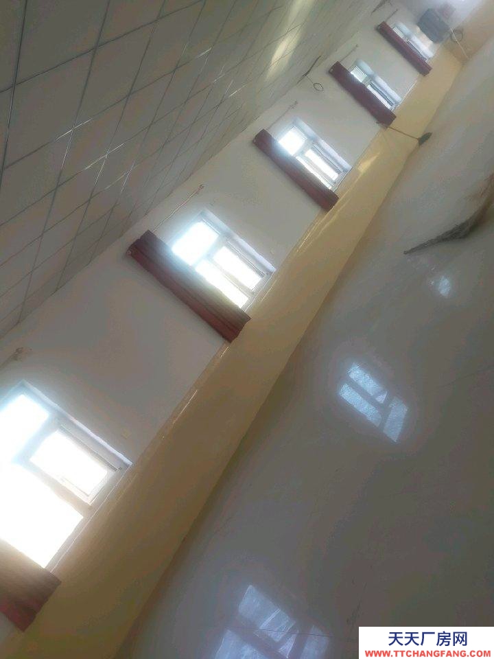 衡水 深州茶制品廠房(出租) 干凈整潔，帶動力電240平一處，120平兩處可分租