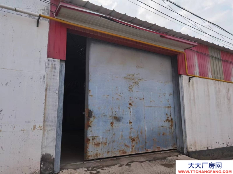 衡水 深州(出租) 緊鄰307國道 ，交通便利，出進(jìn)車方便