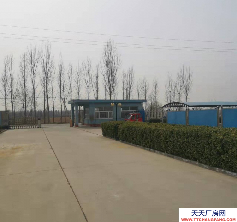 衡水 冀州炒貨食品及堅果制品廠房(出租) 緊鄰106國道，冀州南高速口，出入方便。