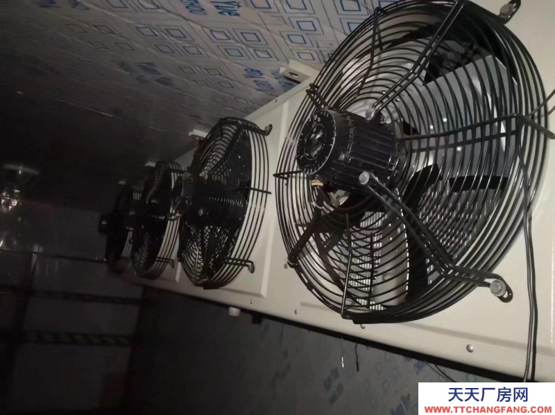 (出租)海拉爾 出租單獨小冷庫可調溫