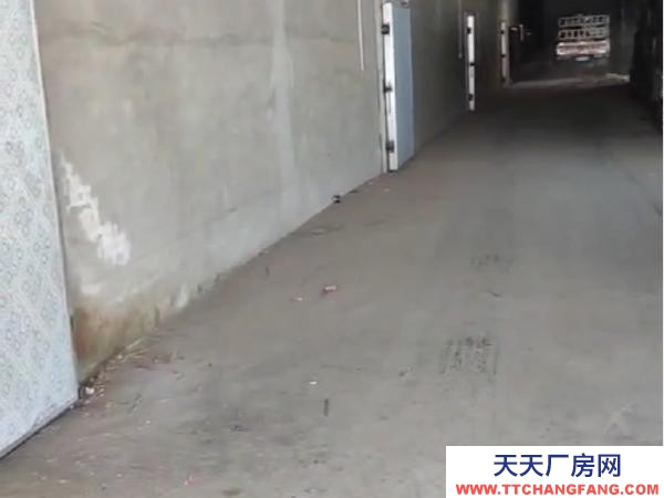 肇州縣萬寶冷鮮庫冷凍庫出租
