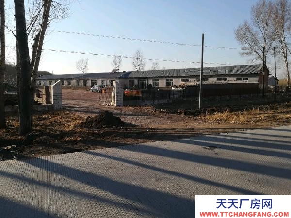 林甸原東升村小學房屋21間院子11000平米 可做糧食加工廠房