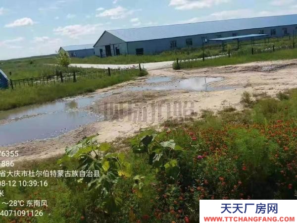 杜爾伯特廠房面積大，適合養(yǎng)殖，設(shè)備齊全