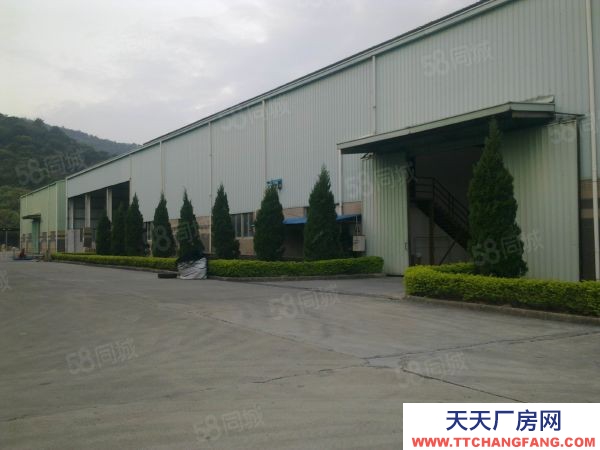 福州市閩清飲料廠房 福州閩清白金工業區獨棟鋼構廠房出售