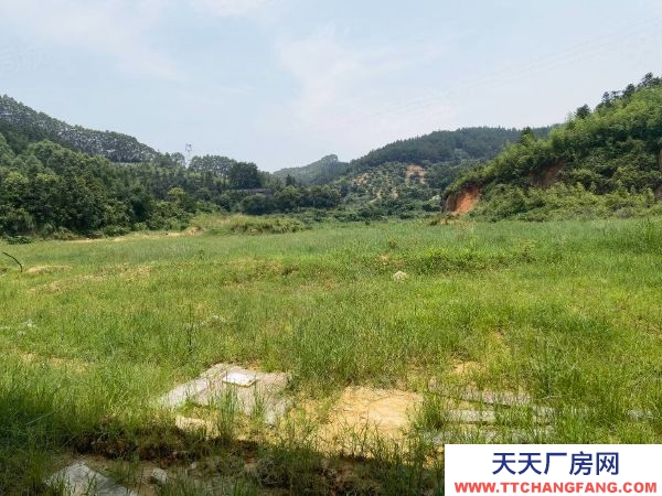 福州市閩清機加工廠房 閩清正規工業區廠房出售，33畝地塊方正，位置佳，自用