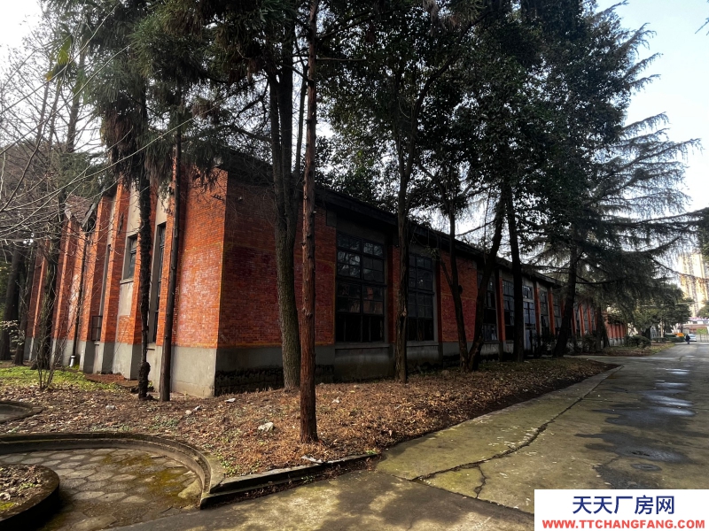 出租金牛沙河源 廠房 倉庫 場地 川建園區(qū)內(nèi)