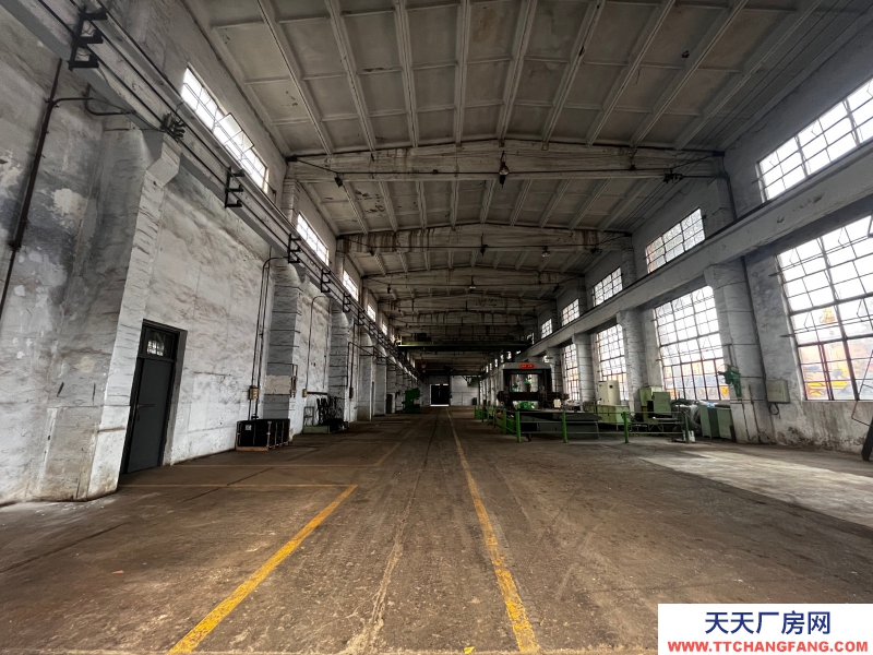 出租金牛沙河源 廠房 倉庫 場地 川建園區內