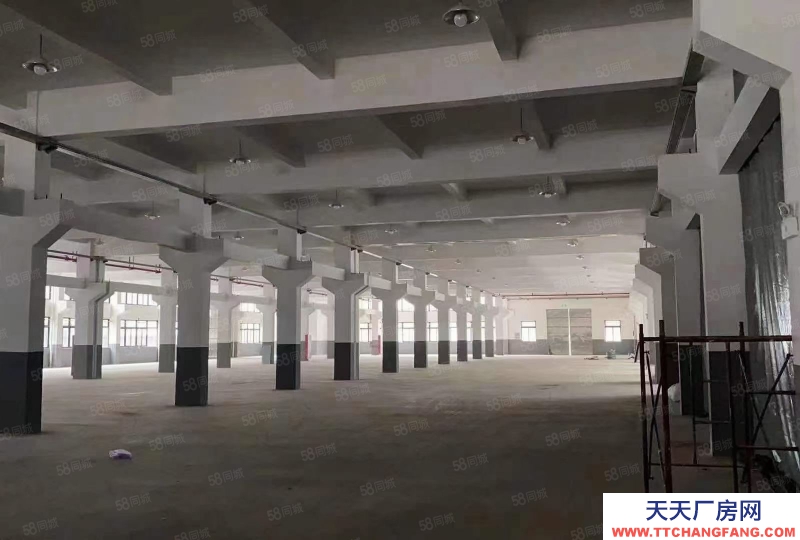 臺州市路橋(出租) 出租路橋黃巖椒江濱海30000平方可分割，歡迎咨詢  罐頭