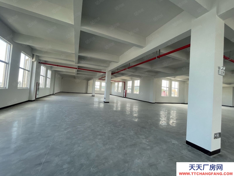 臺州市路橋(出租) 新橋獨門獨院新廠房共4層4500平高度8米可分租  酒類