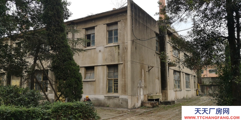 出租金牛沙河源 廠房 倉庫 場地 川建園區內