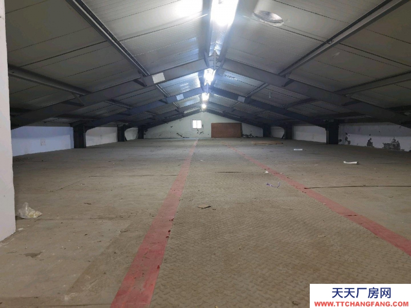 臺州市路橋(出租) 二層閣樓倉庫，月租金每平方7元，電梯上下貨，大車進出方便