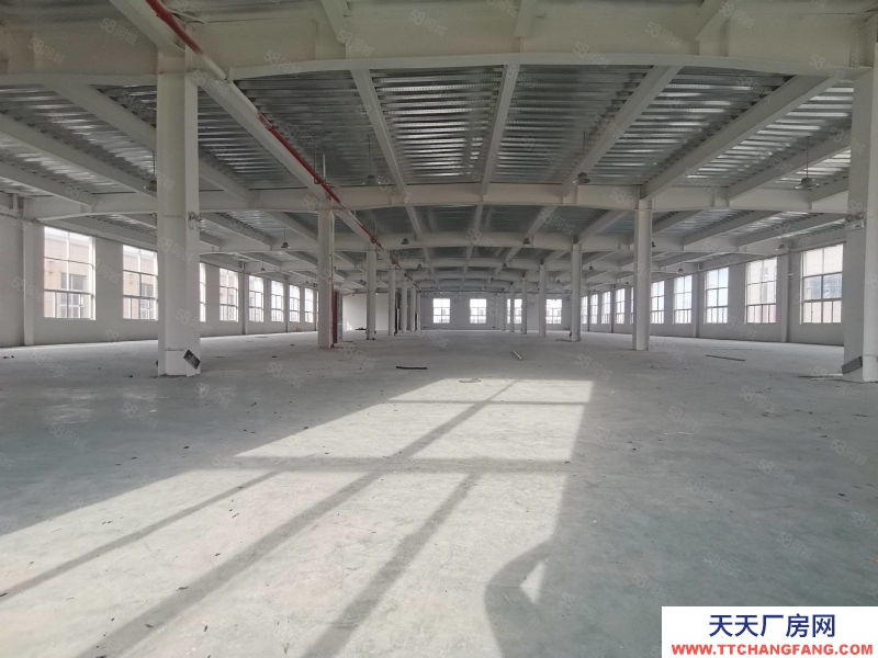 臺(tái)州市路橋(出租) 路南 路澤太旁邊能走17米車1樓800平方