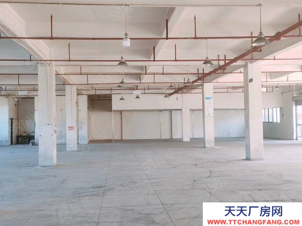 贛州市章貢蛋白飲料廠房 沙河廠房出租標準廠房一手業主租金便宜有意面談