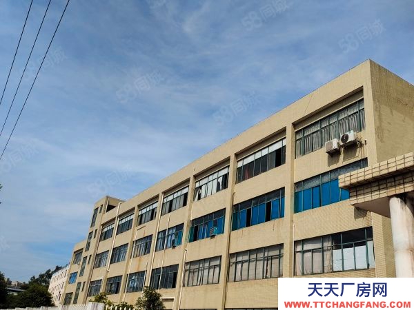 贛州市章貢蛋白飲料廠房 沙河廠房出租標準廠房一手業主租金便宜有意面談