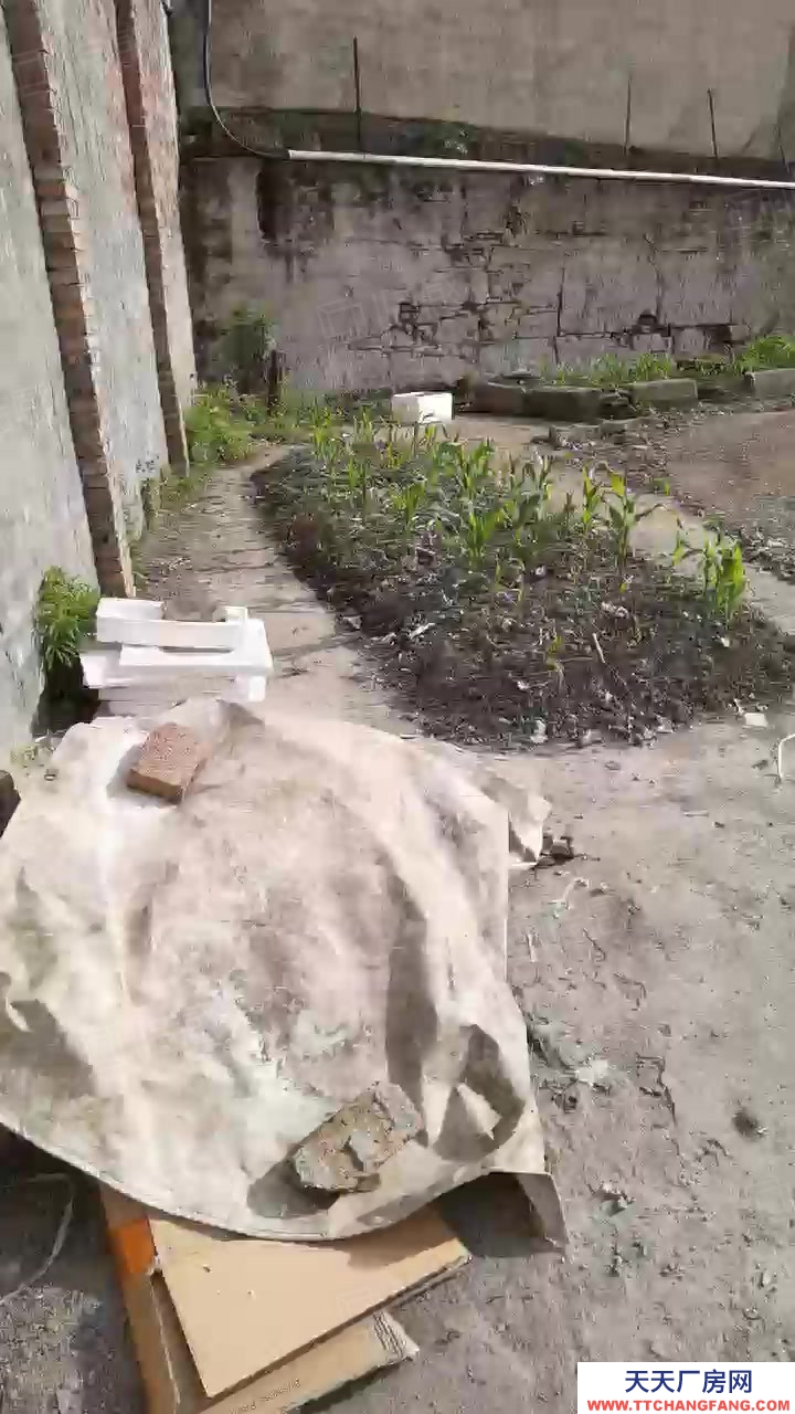 臺州市路橋(出售) 出售峰江104國道旁邊空地5畝規(guī)劃4層6100平方  保健食品