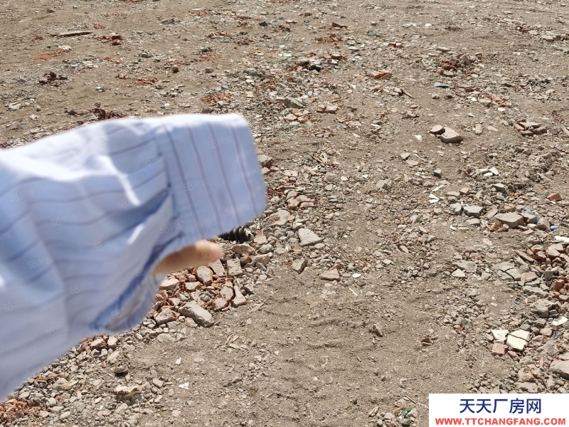 臺(tái)州市路橋(出售) 出售峰江104國道旁邊空地5畝規(guī)劃4層6100平方 保健食品