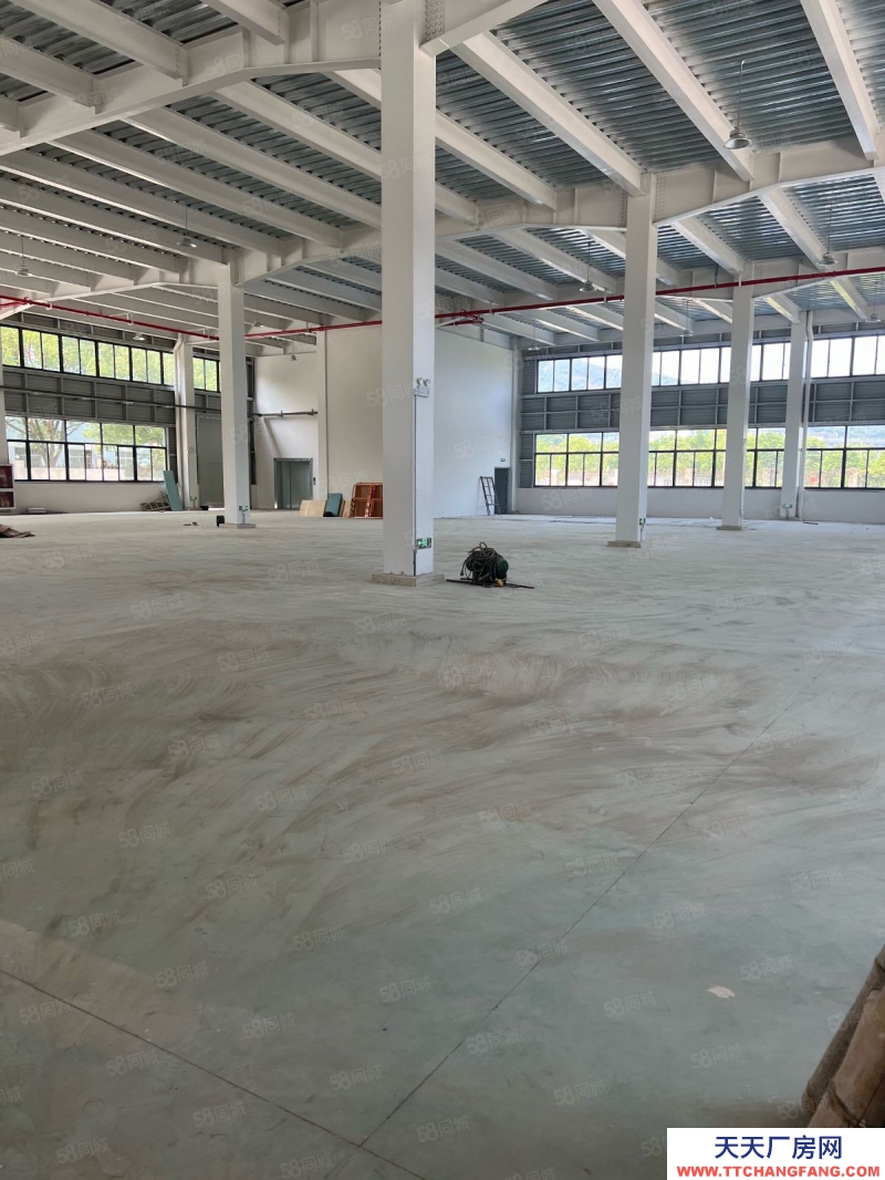 臺州市路橋(出售) 出售廠房路南眾創(chuàng)上張工業(yè)區(qū)獨門獨院    蔬菜制品