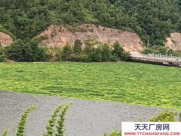 贛州市贛縣機加工廠房 鄉村湖景房出租 居龍潭水庫邊(可租、可售、可合伙開發民宿)
