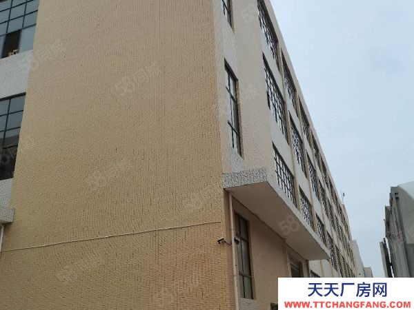 贛州市南康家具廠  鏡壩家具生產標準廠房出租