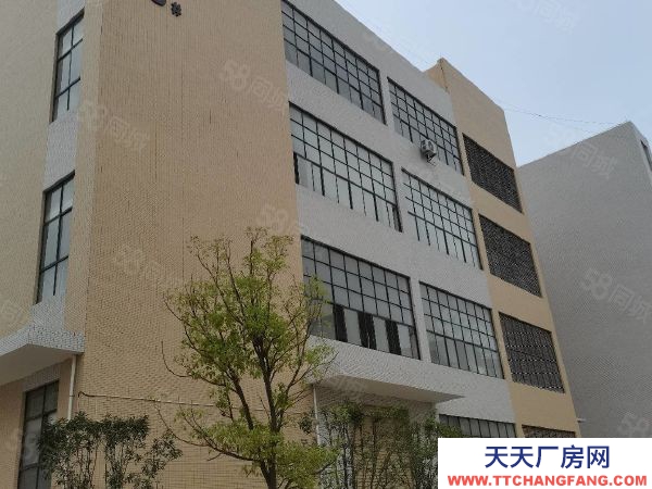 贛州市南康家具廠 鏡壩家具生產(chǎn)標準廠房出租