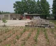 (出租) 出租鶴壁淇濱東楊工業(yè)區(qū)曹洼