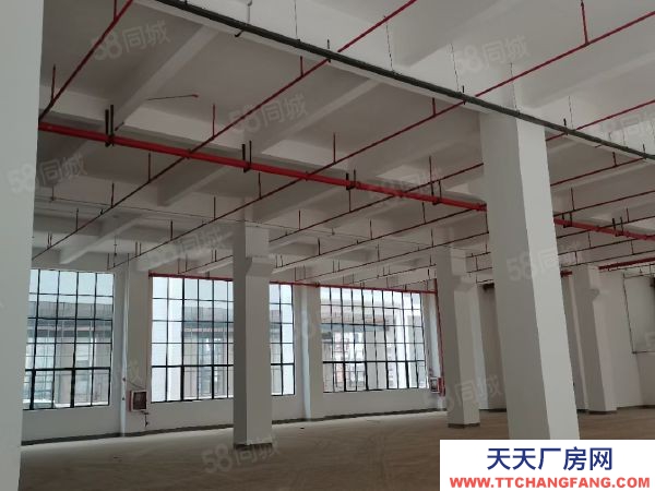 贛州市南康家具廠 家具核心區標準廠房出租
