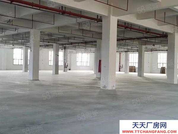 贛州市南康家具廠 家具核心區標準廠房出租