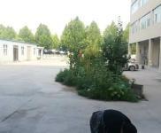 (出售) 鶴壁淇濱證件齊全廠房辦公樓出售