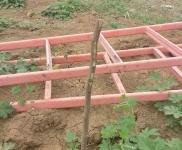 (出租) 鶴壁淇濱農村大院空閑，離快速通道很近，可改造使用。