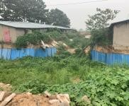 (出租) 鶴壁浚縣可以整租廠區可以單獨租棚