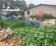 (出租) 鶴壁浚縣可以整租廠區可以單獨租棚