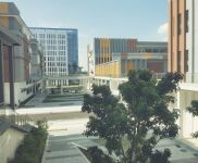 (出租) 桂林秀峰政府扶持項目 青網(wǎng)數(shù)字經(jīng)濟產(chǎn)業(yè)園 火爆招商中 歡迎入駐