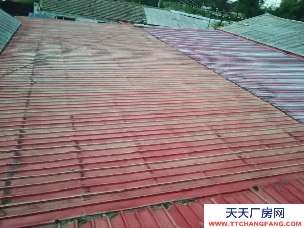 東風(fēng)面談，有動(dòng)力電有上下水，還有車間供暖 果凍廠房